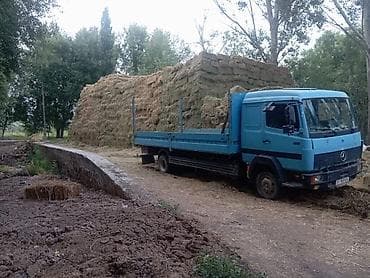 мтз запчасти: Mercedes-Benz : 1997 г., 6 л, Механика, Дизель, Универсал — 4