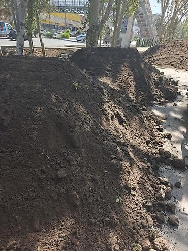 продаю чернозем: В тоннах, Бесплатная доставка, Камаз — 1