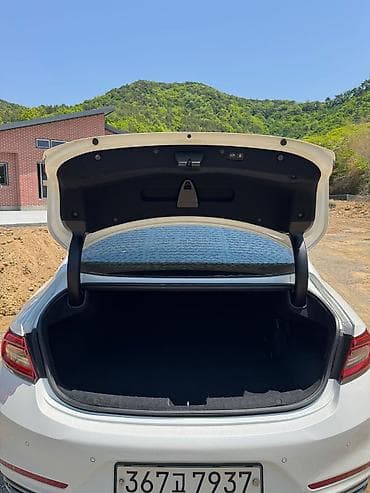 byd plus: Hyundai Grandeur: 2019 г., 2.4 л, Автомат, Гибрид, Седан — 5