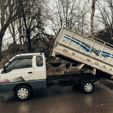 новогодние елки в сулпаке бишкек: Вывоз мусора вывоз мусора Вывоз мусора вывоз мусора Вывоз мусора — 1