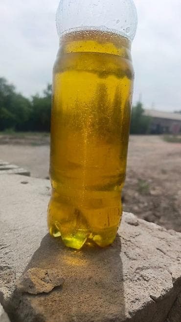 Масло подсолнечника нерафенированое холодного отжима 20т. kz пишите в