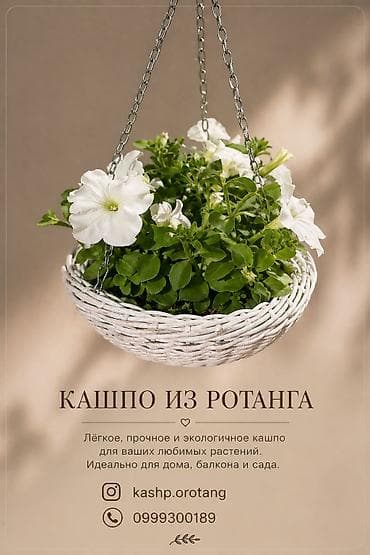 Кашпо из ротанга — для дома, балкона и сада - Экологичный материал