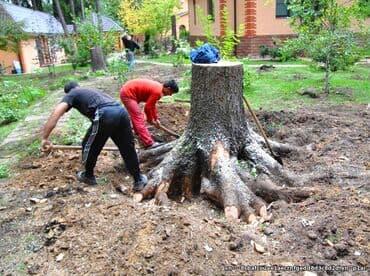 разнорабочий керек: Спил дерева любой сложностипилщик#1по городу и в регионах. Колим — 6