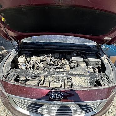 выкуп битых автомобилей: Kia Carnival: 2016 г., Универсал — 2