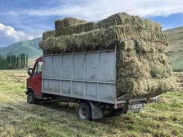 тс кg: Легкий грузовик, Mercedes-Benz, Стандарт, 3 т, Б/у — 3