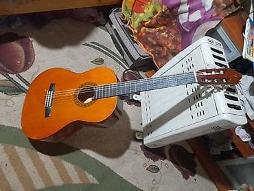 Гитары: Классическая акустическая гитара 4/4 с нейлоновыми струнами. Корпус — 3