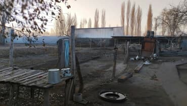 продаю дом рабочий гарадок: Дом, 1900 м², 4 комнаты, Собственник, Старый ремонт — 4