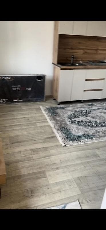 Батирлерди сатуу: 1 бөлмө, Кыймылсыз мүлк агенттиги, Чогуу жашоосу жок, Толугу менен эмереги бар — 2