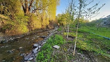 куплю сад: 4 соток, Для строительства, Красная книга, Договор купли-продажи — 4