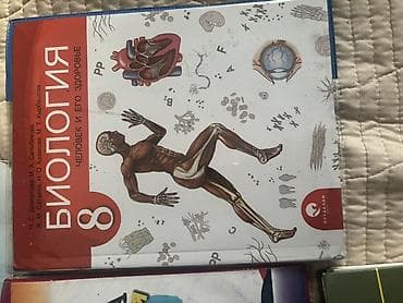 third edition solution: Русский язык, 4 класс, Б/у, Самовывоз — 4
