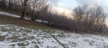 покупаю дом: 8 соток, Для сельского хозяйства, Красная книга — 7