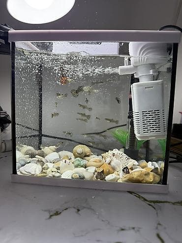 Продаю Аквариумный комплект с живыми гуппи фильтр и обогреватель в