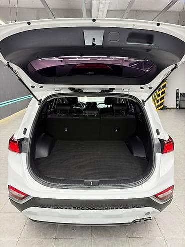 дамас 2: Hyundai Santa Fe: 2019 г., 2 л, Автомат, Дизель, Кроссовер — 5
