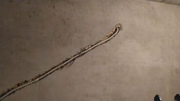 установка кондиционера бишкек цена: Установка труб( инсталяций) от Кондиционеров в квартиры дома до — 10