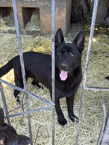 с мыкан: ВЯЗКА! Не продажа. Всем доброго времени суток друзья, предоставляю к — 7