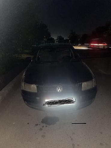 египетская кошка сфинкс: Volkswagen Passat: 1996 г., 1.8 л, Ручные, Бензин, Седан — 2