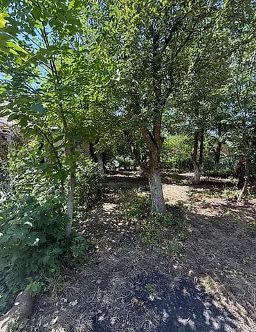 светлая поляна: Продаётся дачный участок с жилым домом и хозяйственными постройками — 3