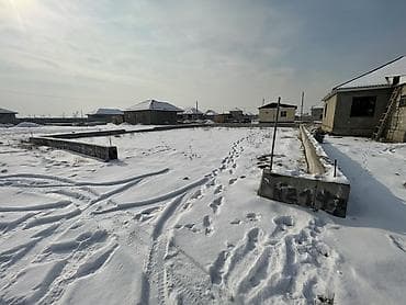 сары булун: 4 соток, Кызыл китеп — 4