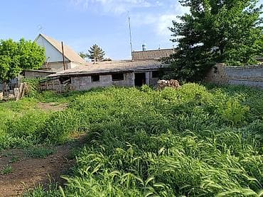 дом на продажу: Дом с хозяйственным двором - Планировка: прихожая, кухня — 6
