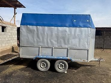 эшек жаныбар: Чиркегич, Тенттелген — 7