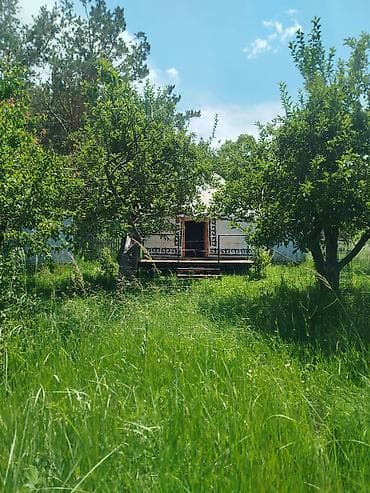 по суточное кв: Юрточный кемпинг на Иссык-Куле, Тон, 12 мест, Питание: За отдельную плату — 5