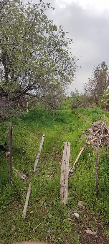 дом ремонт: 15 соток, Для строительства, Красная книга — 6