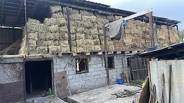 Дома: Продаётся участок с домом в с. Новопокровка 📍 По центральной трассе 📐 — 4
