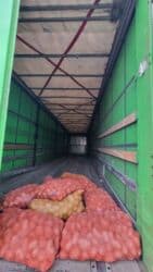 экскаватор сатып алам: Сүйрөгүч, Volvo, 2014 г., Тенттелген — 3