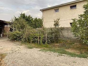 Дордой 1 at lalafo.kg Дордой 1