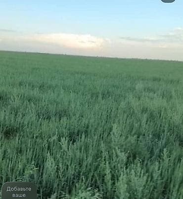 Продажа участков: 16000 соток, Для сельского хозяйства — 4