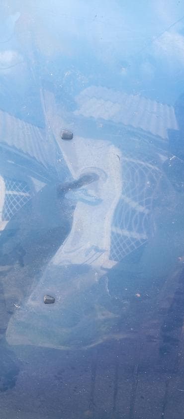 Капот Mazda, Б/у