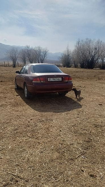 перетяжка салона автомобиля: Mazda 626: 1992 г., Седан — 1