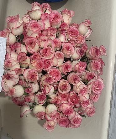 Продаю цветы 101роза 
75см