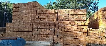 продаю лес: Хвоя — 1