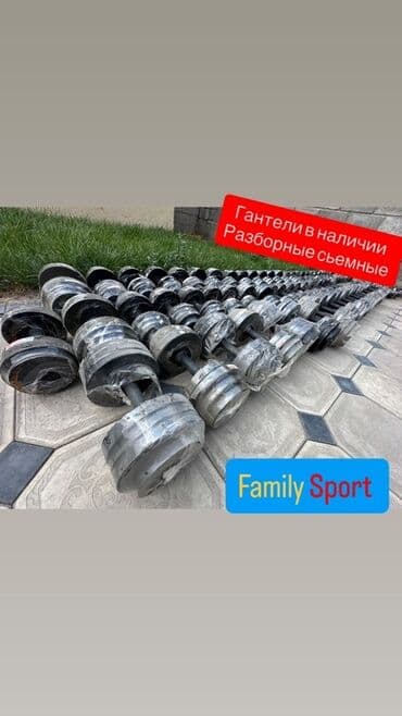 набор гантель в чемодане flexter: Представляем наборные гантели — универсальный инструмент для домашних — 9