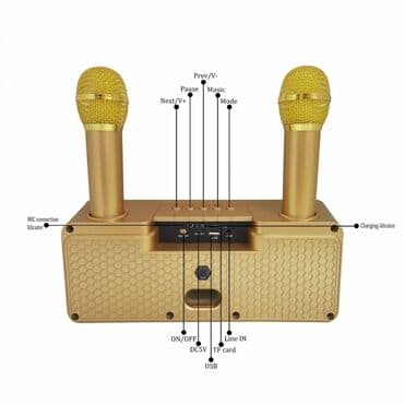 домашнее караоке: Бесплатная доставка Доставка по городу бесплатная Беспроводная — 4