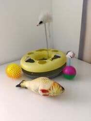 чемоданы бишкек дордой цены: Спорттук сумка, Материалы: Эко булгаары, Балдага, Колдонулган — 1