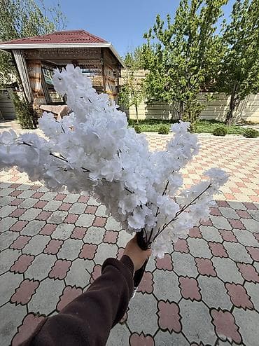 Подсвечники: В Аренду или на продажу!

Цветы,свечи и зеркало 
От 1500с ! — 4