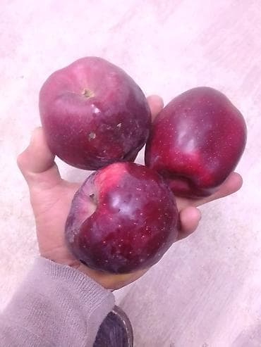 Другие фрукты: Айва свежая, садовая Описание: - Сочные, ароматные плоды ярко‑желтого — 9