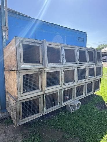 Продаю кролятник