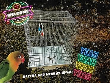 неразлучник: Клетка для мелких птиц🦜 не большого размера 45 в высоте и 30 длина — 1