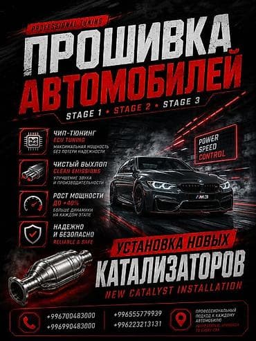 iphone 1e: Профессиональная прошивка автомобилей и установка новых каталитаторов — 2