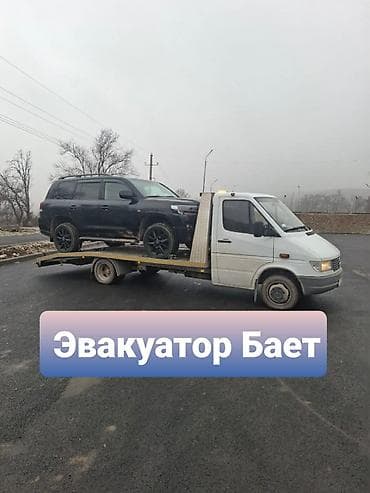 животные для дома: Эвакуатор Бает
Эвакуатор Баетовка
Эвакуатор Бает
Эвакуатор — 1