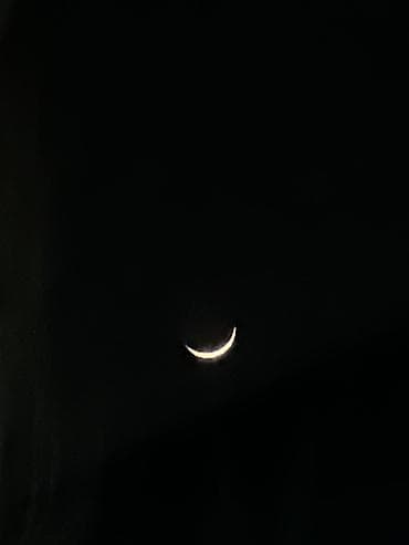 рабочий лошадь: Седло для верховой езды с аксессуарам ээр сатылат полный конплект — 2