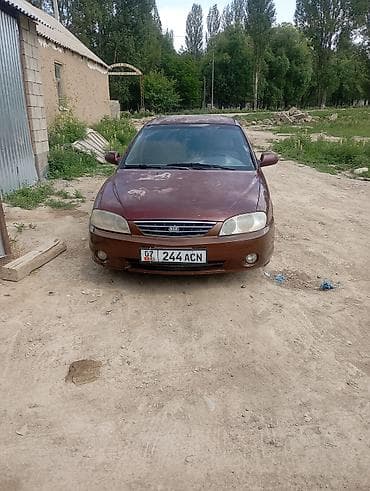 авто купить в киргизии: Kia Spectra: 2008 г., 1.6 л, Механика, Газ, Седан — 3