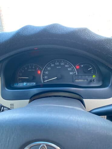 рейка на ипсум: Toyota Ipsum: 2002 г., 2.4 л, Автомат, Газ, Минивэн — 9