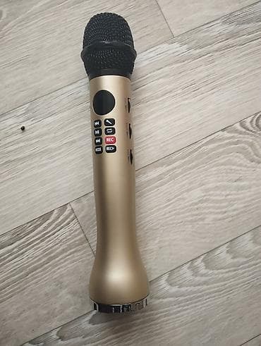 Портативный караоке-микрофон с динамиком - Тип: беспроводной