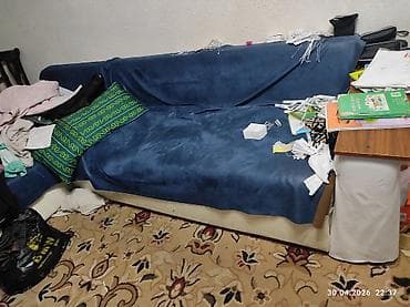 Килемдер: Энсиз узун килем Колдонулган — 1