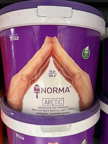 Акриловая краска Alina Norma Arctic в ведре объемом 15 кг