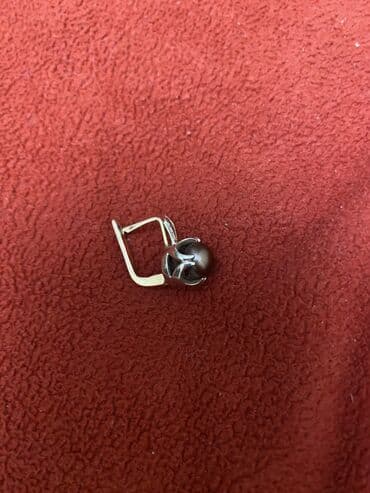 документы прицеп: В районе Дордоя или где то еще утеряна сережка. Кто нашел — 1